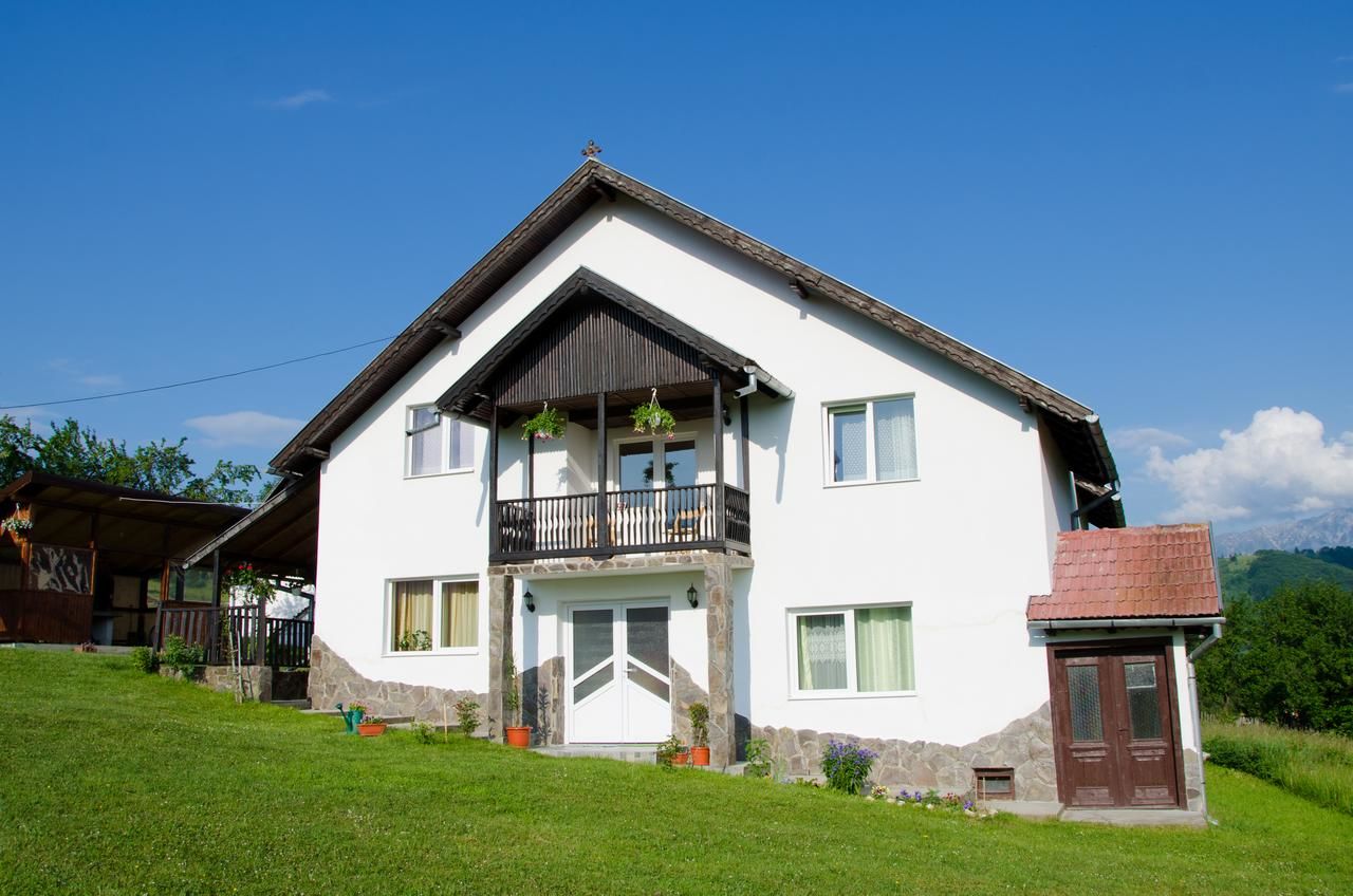 Загородные дома Casa Elena Бран-18
