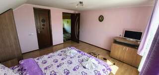 Загородные дома Casa Elena Бран Двухместный номер с 1 кроватью и собственной ванной комнатой-4