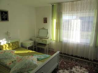 Загородные дома Casa Elena Бран Двухместный номер с 1 кроватью и общей ванной комнатой-3