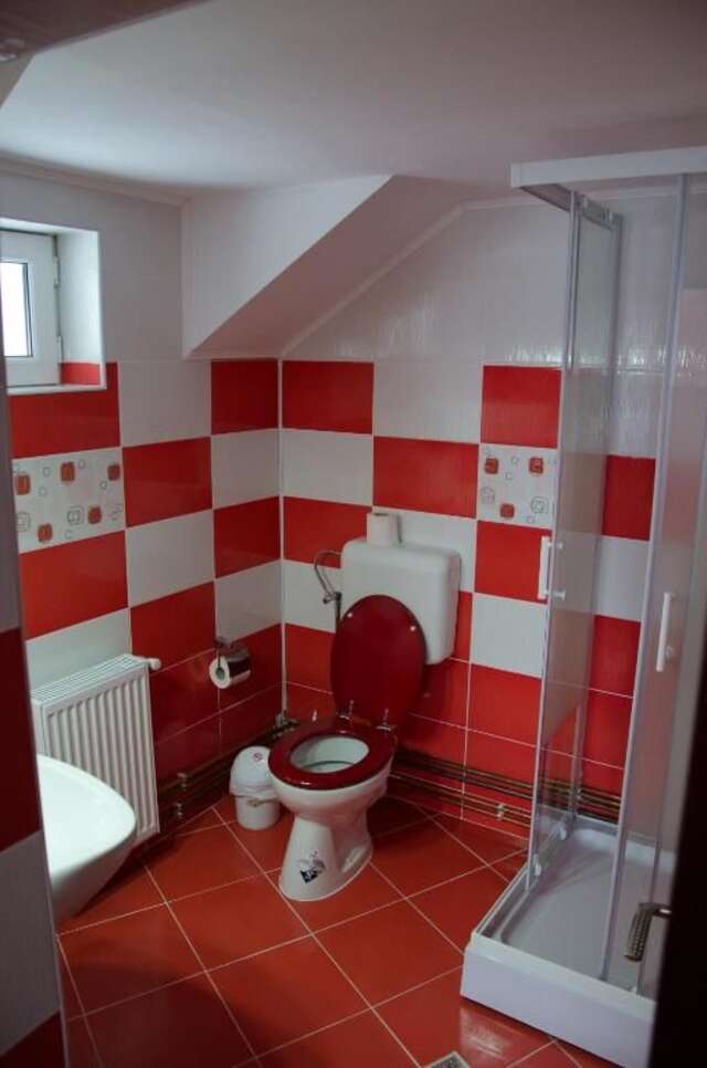 Загородные дома Casa Elena Бран-31